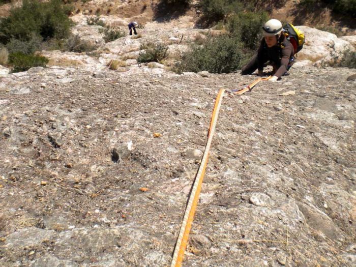 A la Codolosa hi trobarem un bon grapat de vies